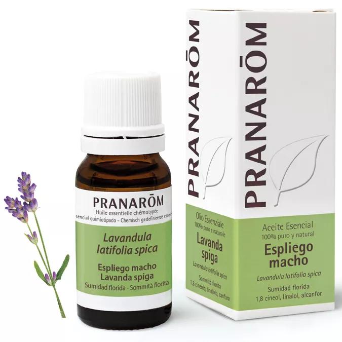 Essential oil of lavender Pranarôm ml