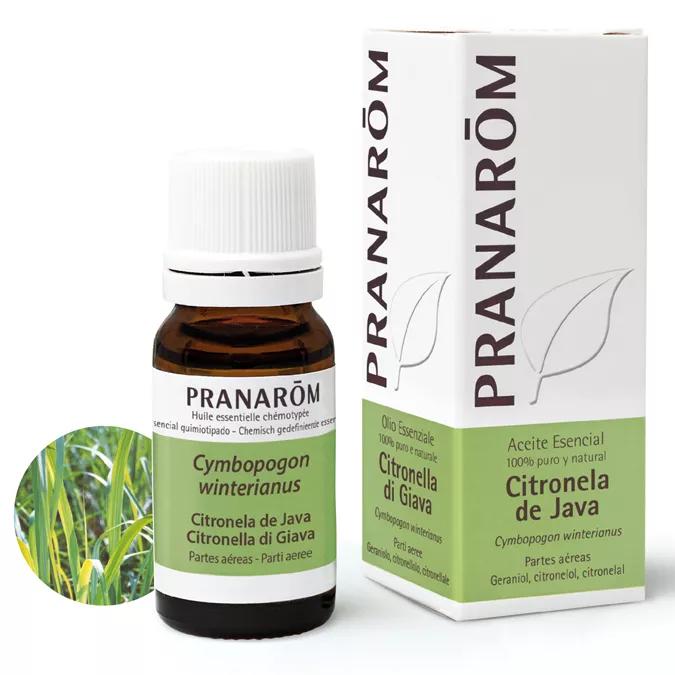 Java Citronella Essentiële Olie Pranarom 10ml