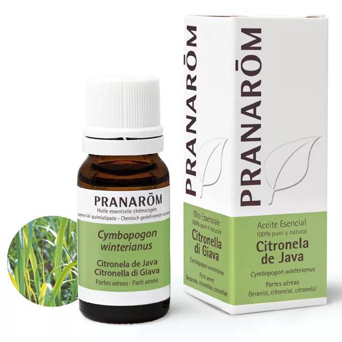 Pranarom Óleo Essencial de Citronela de Java 10ml