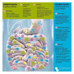 Techni-Pharma Transillium 100 gélules