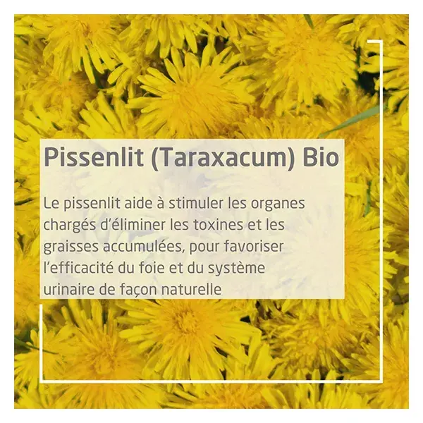 Weleda Extraits de Plantes Taraxacum Bio 60ml