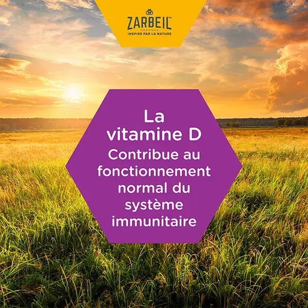 Zarbeil® Sirop Adultes Immunité Nuit Flacon 120 ml