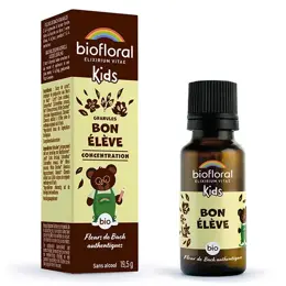 Biofloral Enfants Bon Eleve Granules Bio 19,5 Gr