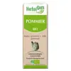 Herbalgem Macérat Concentré Pommier Bio 30ml