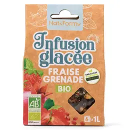 Nat & Form Infusion Glacée Fraise Grenade bio 6 sachets de 8 grammes