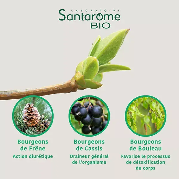 Santarome Bio - Tri Complexe de Bourgeons Détox Minceur Bio - Flacon de 30ml