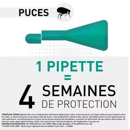 Frontline Combo Chats et Furets 3 pipettes