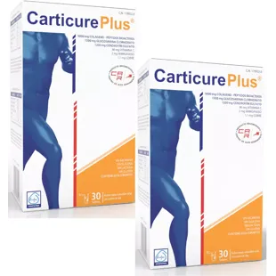 Carticure Plus Stick 2x30