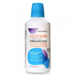 Aquasilice Silicium Organique Glucosamine Chondroitine 1L