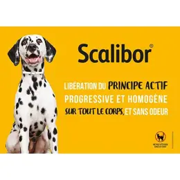 Scalibor Collier Antiparasitaire Petit et Moyen Chien 1 unité