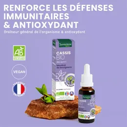 Santarome Bio - Bourgeon de Cassis Bio - Gémmothérapie - Flacon de 30ml