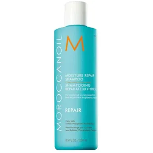 Moroccanoil Moisturizing Repair Shampoo 250 ml