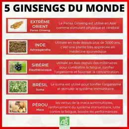 Nutrigée Ginseng 5 Fort 60 comprimés