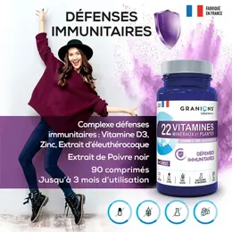 Granions 22 Vitamines Défenses Immunitaires 90 comprimés