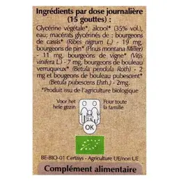 Herbalgem Complexe de Gemmothérapie Artigem Articulation Bio 30ml