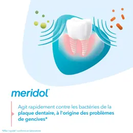 Meridol Dentifrice Pack Double 2 x 75ml