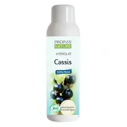 Propos' Nature Aroma-Phytothérapie Hydrolat Cassis Bio 100ml