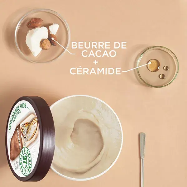 Garnier Body Superfood Beurre Réparateur Cacao Céramide 380ml