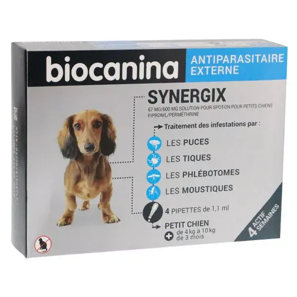 Local de plagas control externo Synergix pequeño perro 4-10kg 4 pipetas
