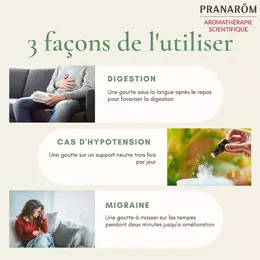 Pranarom Huile Essentielle Menthe Poivrée 10ml