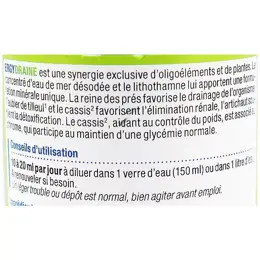 Nutergia Ergydraine Saveur Pêche 250ml