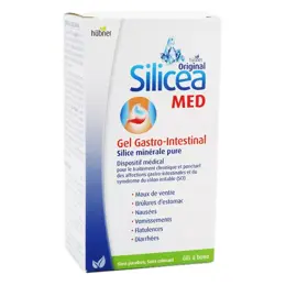 Hübner Silicea Gel Gastro Intestinal 200ml