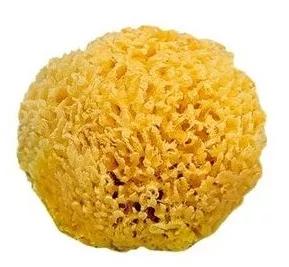 Saro Natural Sponge