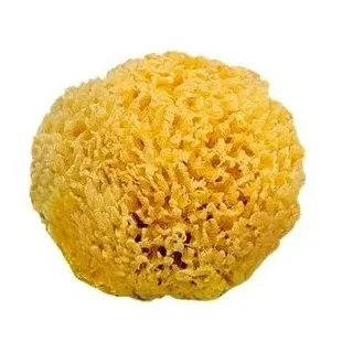 Saro Natural Sponge