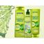 Garnier Fructis Shampoo Forza e Lucentezza per Capelli Normali 360 ml