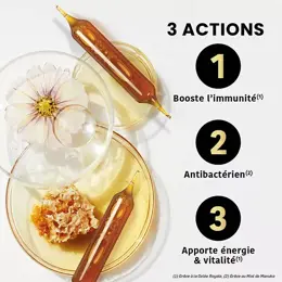 Santarome Bio - Gelée Royale 2000 Miel de Manuka Bio - 20 ampoules