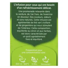 Yogi Tea Thé Vert Gingembre Citron 17 sachets