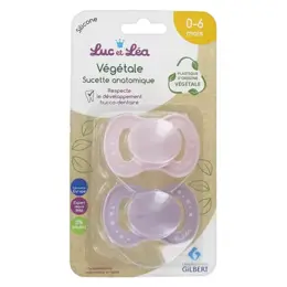 Luc et Léa Sucette Anatomique Végétale 0-6m Rose Lot de 2