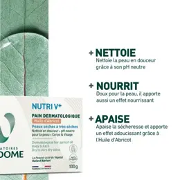 Laboratoires Vendôme - Pain Dermatologique Huile d'Abricot NUTRIV+ 100g