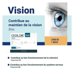 Densmore Cicoline 500 - Mémoire et Vision - Cure 1 mois