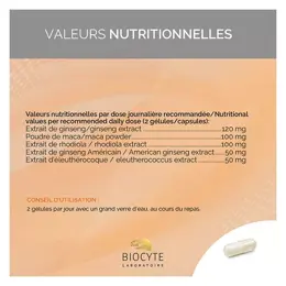 Biocyte Ginseng 5 Fort 40 gélules