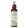 Fleurs de Bach® Original - Holly 20ml