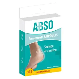 Marque Verte ABSO Pansements ampoules pack familial - Boîte de 12