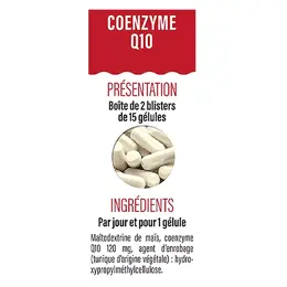 Dayang Coenzyme Q10 30 gélules