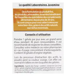 Juvamine Articulations Curcuma Piperine 30 gélules 