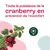 Naturactive Urisanol Cranberry Stevia 28 sachets sticks