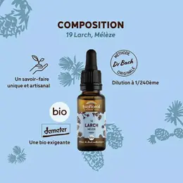 Biofloral Fleur De Bach 19 Larch Meleze Compte Gouttes Bio Demeter 20 ml