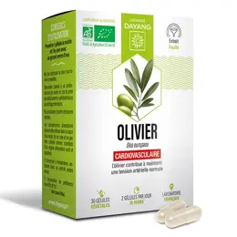 Dayang Phytothérapie Olivier Bio 30 gélules végétales