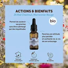 Biofloral Fleur De Bach 25 Red Chestnut Marronier Rouge Bio 20 ml