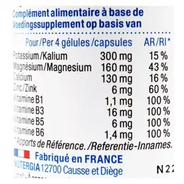 Nutergia Ergybase 60 gélules