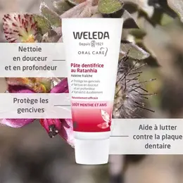 Weleda Soin Bucco-Dentaire Pâte Dentifrice au Ratanhia 75ml