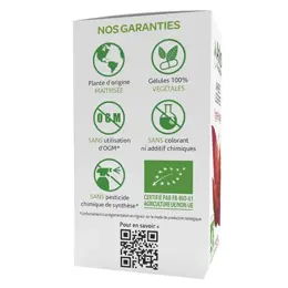 Arkopharma Arkogélules Jambes Légères Vigne Rouge Bio 150 gélules