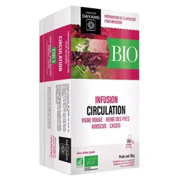 Dayang Infusion Bio Jambes Légères 20 sachets