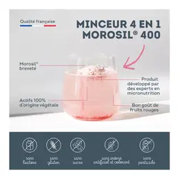 Vitavea Minceur 4 en 1 Morosil 400mg Métabolisme Brûle Graisse Cure 30 jours