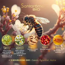 Santarome Bio Spray Gorge au Miel de Manuka Bio Apaise la gorge 20 ml