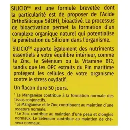 Phyto Research Silicio Silicium 25ml